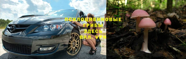 2c-b Алзамай