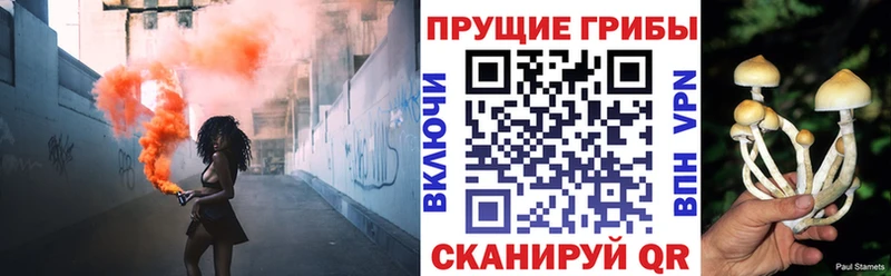 Галлюциногенные грибы MAGIC MUSHROOMS  Фатеж 